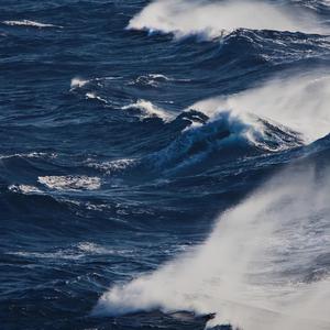 free❌❌❌日本videos
